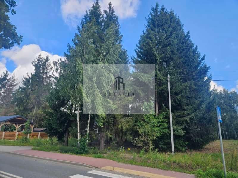 Działka Radonie 1575 m², media - Widok 2