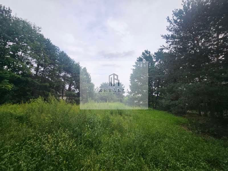 Żółwin działka 2500 m², pełne media, MPZP - Widok 4