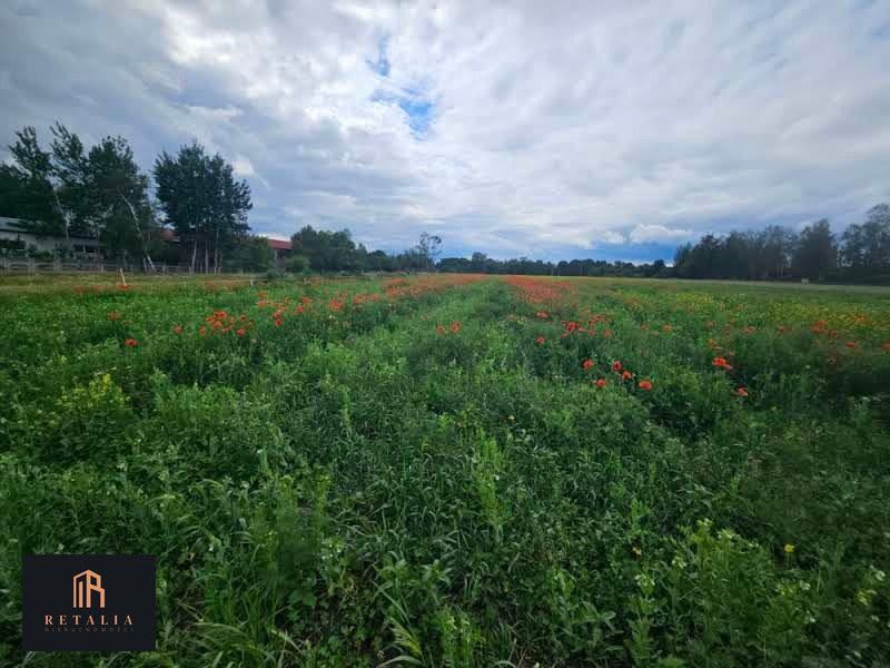 Kozerki, 1250 m², MPZP - Widok 5