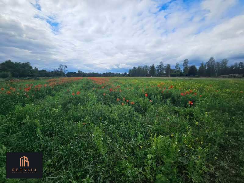 Kozerki, 1250 m², MPZP - Więcej