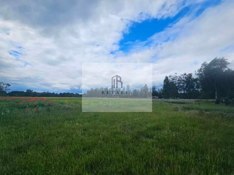 Działka Kozerki 1250 m² - Widok 3