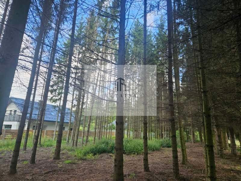 Działka Radonie 1575 m², media - Widok 5