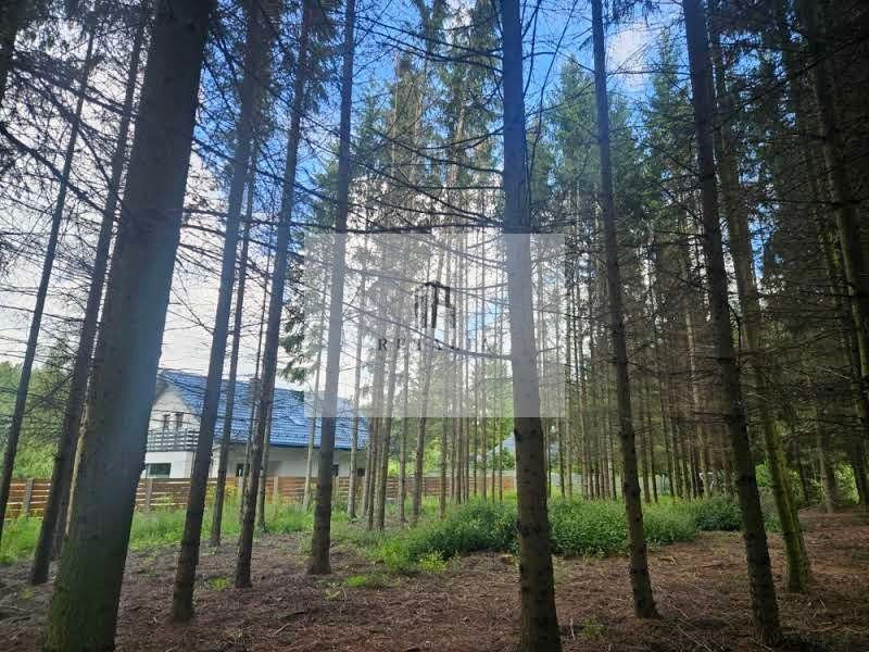 Działka Radonie 1575 m², media - Więcej