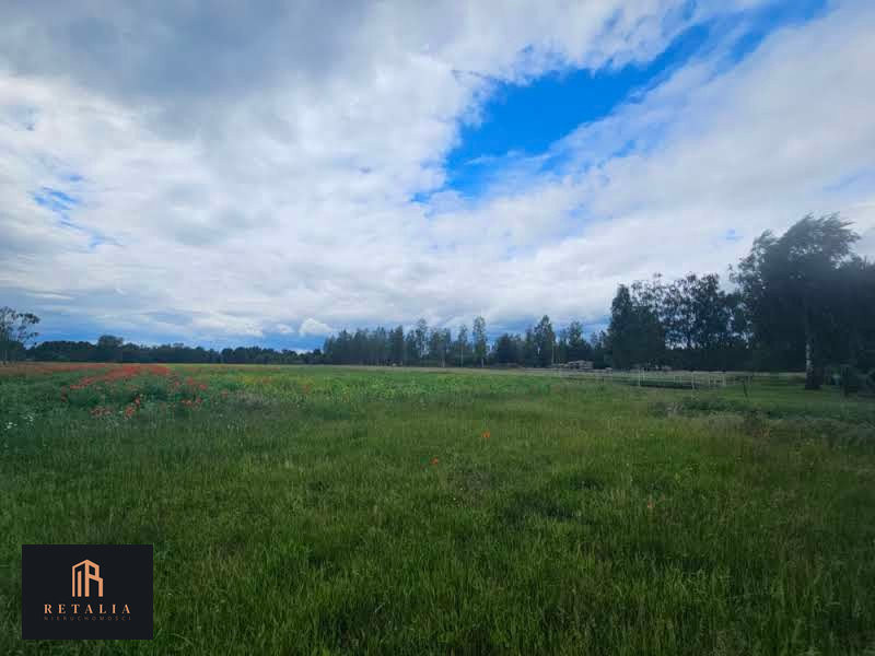 Kozerki, 1250 m², MPZP - Widok 2