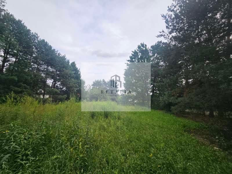 Żółwin działka 2500 m², pełne media, MPZP - Widok 2