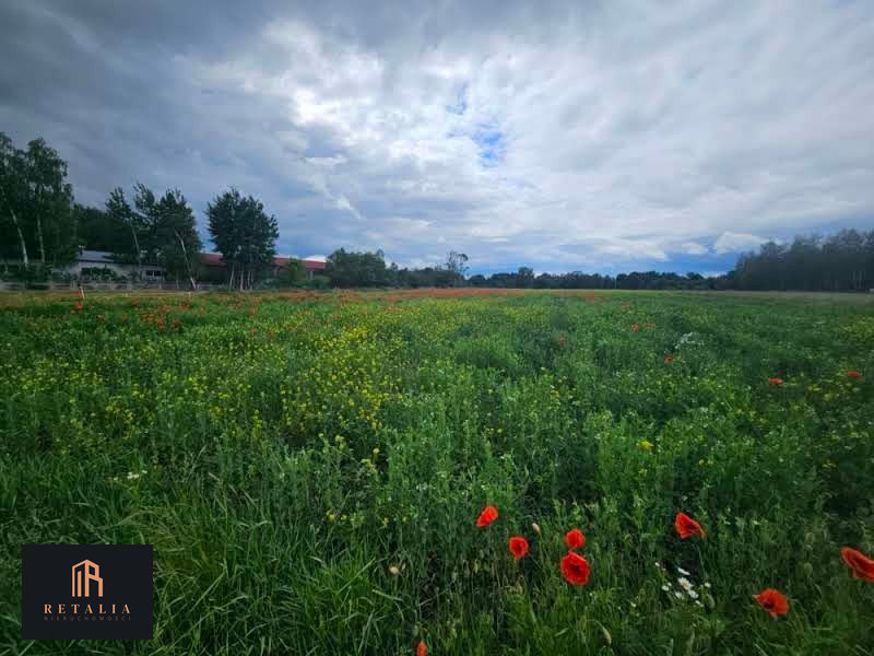 Kozerki, 1250 m², MPZP - Widok 3