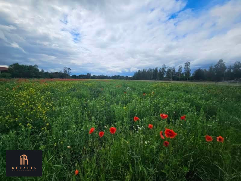 Kozerki, 1250 m², MPZP - Widok 4