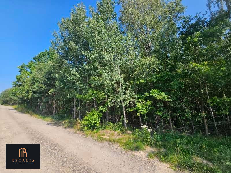 Wycinki Osowskie, 1000 m², media, MPZP - Widok 3