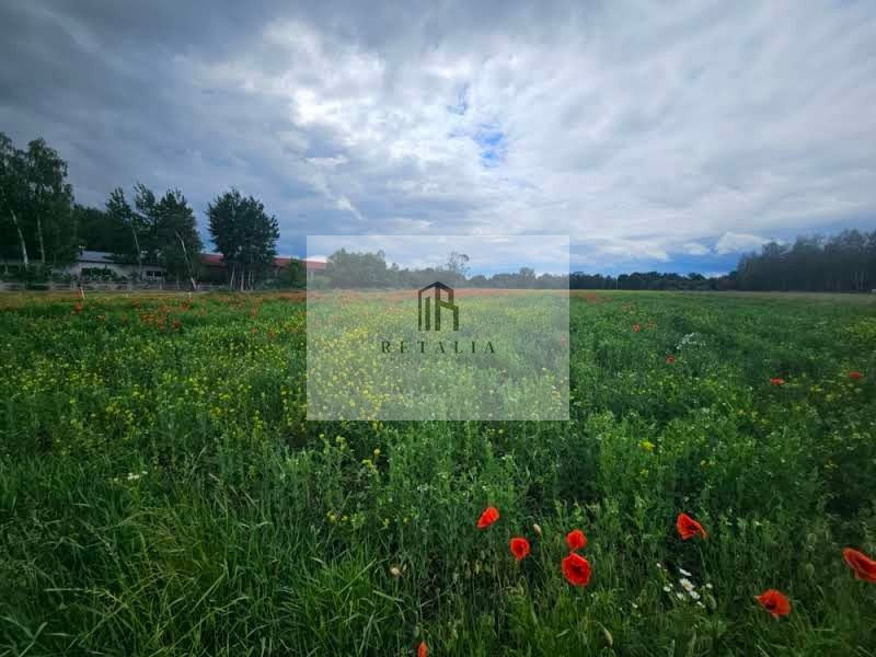 Działka Kozerki 1250 m² - Widok 4