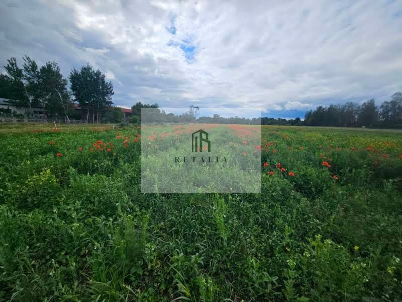 Działka Kozerki 1250 m² - Widok 5