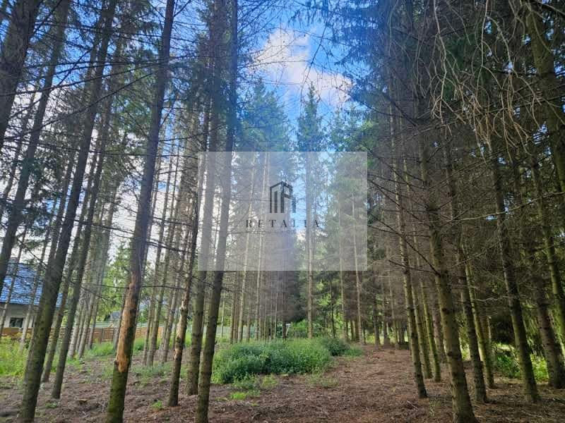 Działka Radonie 1575 m², media - Widok 4