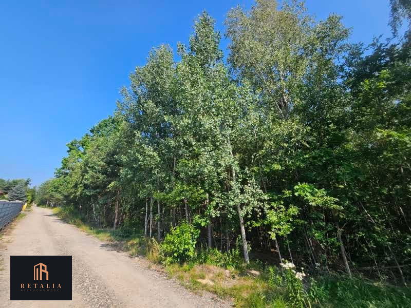 Wycinki Osowskie, 1000 m², media, MPZP - Widok 5