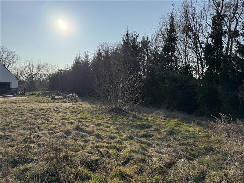Idealne miejsce na Twój dom – Wisznia Mała - Widok 4