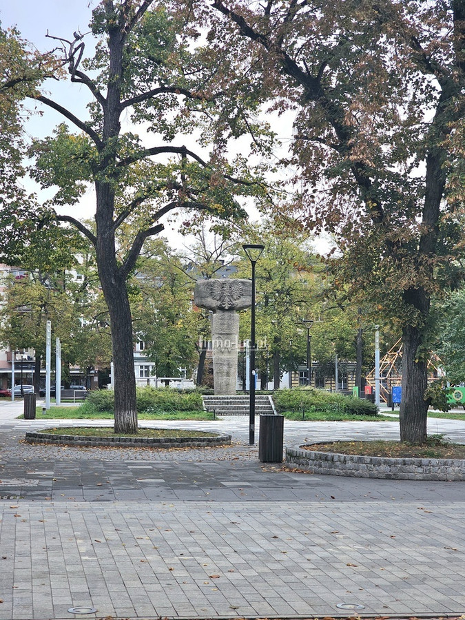Lokal w doskonałej lokalizacji / witryny - Widok 5