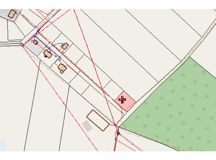 Działka pod lasem w Dziersławicach - Widok 4
