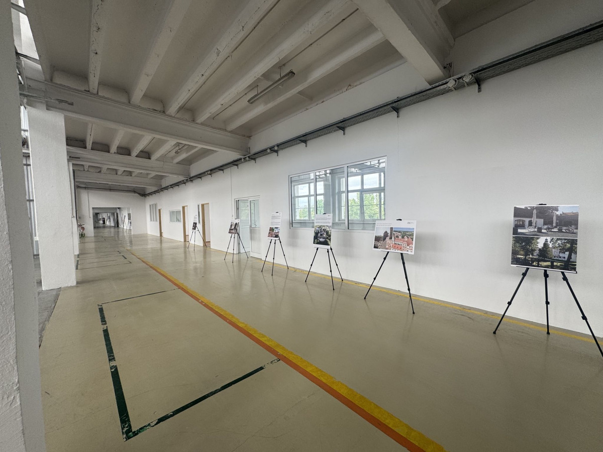 3580 m² w centrum Pabianic obok CASTORAMY oraz Centrum Handlowego TAKALNIA - Widok 3