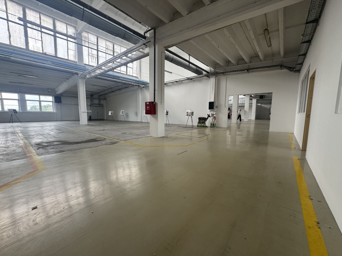 3580 m² w centrum Pabianic obok CASTORAMY oraz Centrum Handlowego TAKALNIA - Widok 4