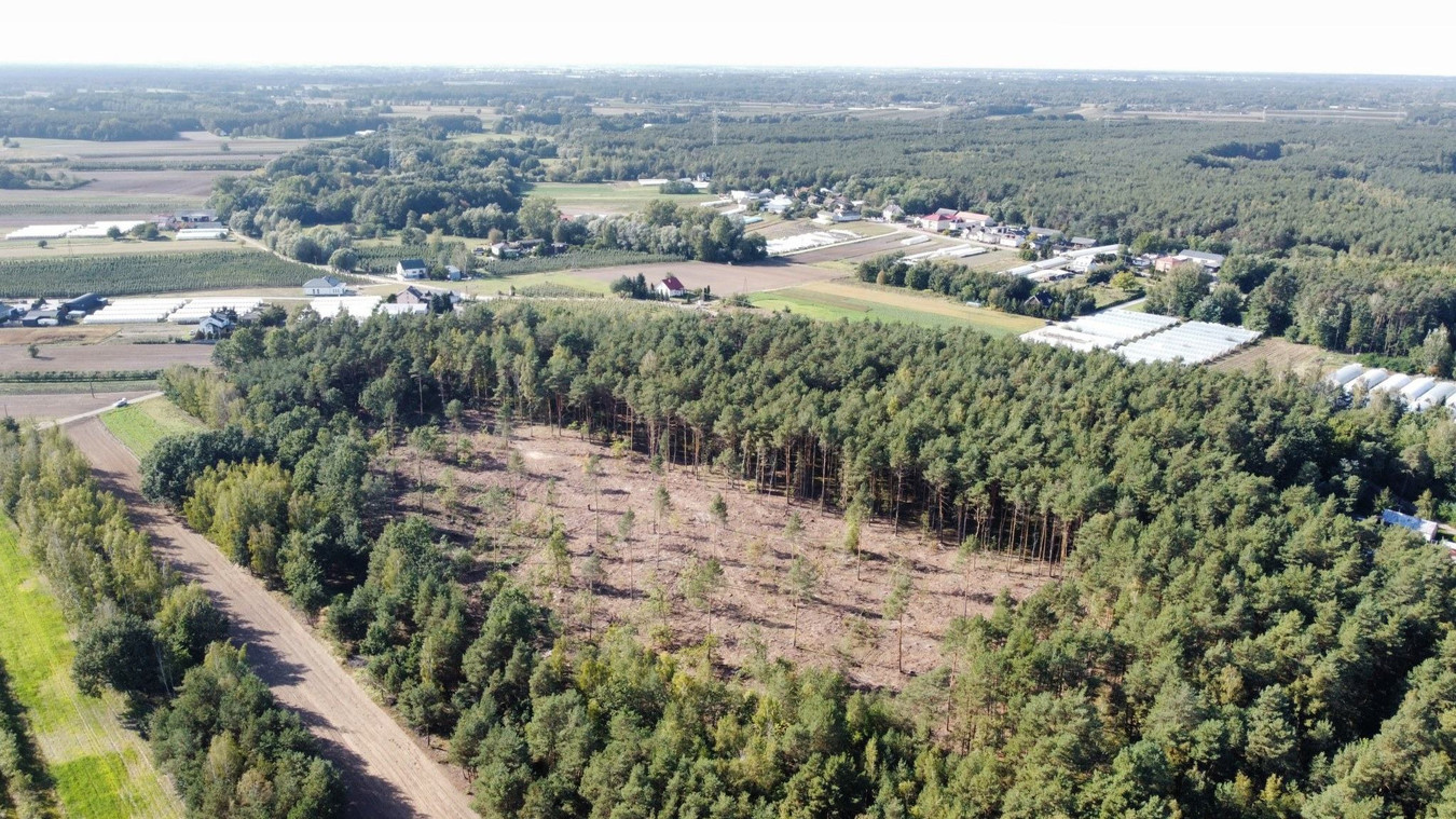 Działka leśna 2,24 ha z potencjałem - Widok 3