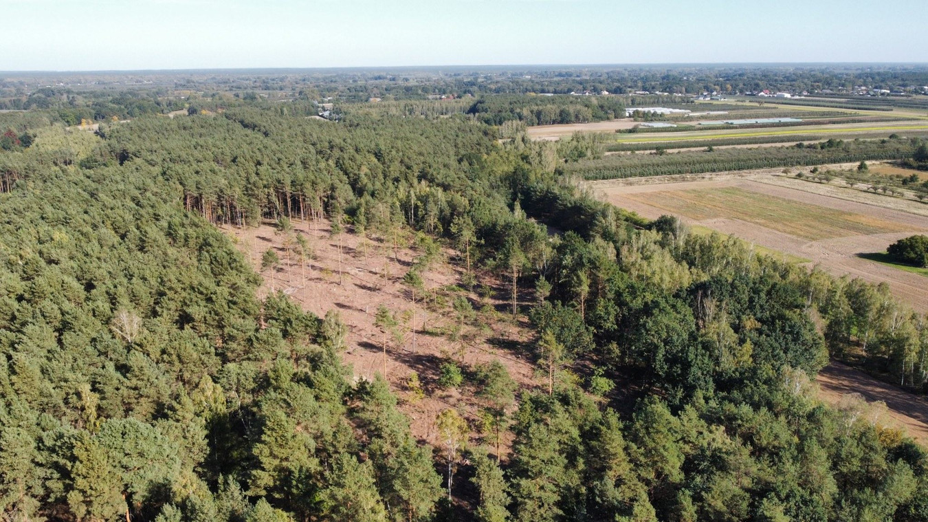 Działka leśna 2,24 ha z potencjałem - Widok 2