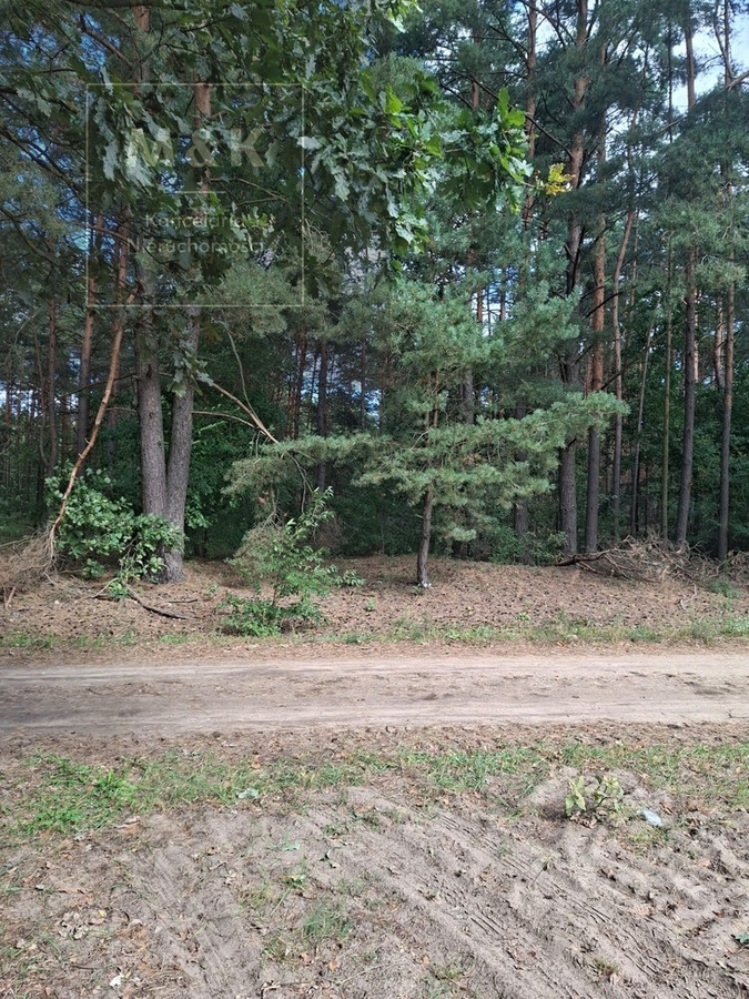 2,63 ha na Mazowszu | Blisko Narwi - Widok 3