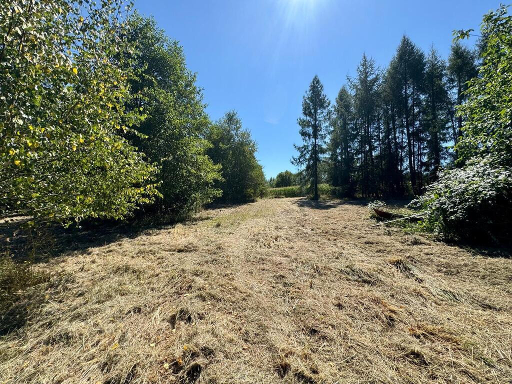 Działka budowlana 5436 m² Łuków Śląski - Widok 3