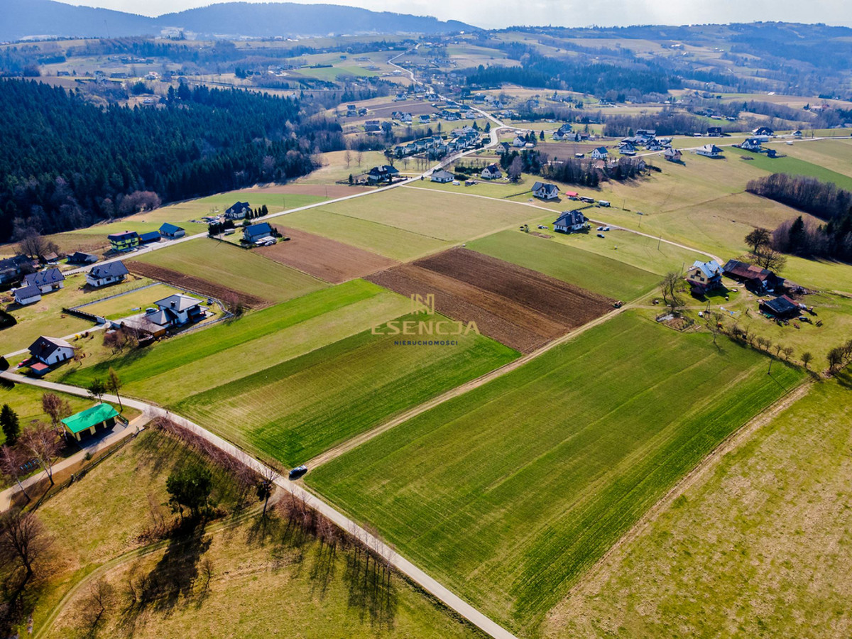 Atrakcyjna działka w Korzennej - Widok 5