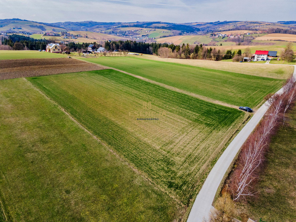 Atrakcyjna działka w Korzennej - Widok 3