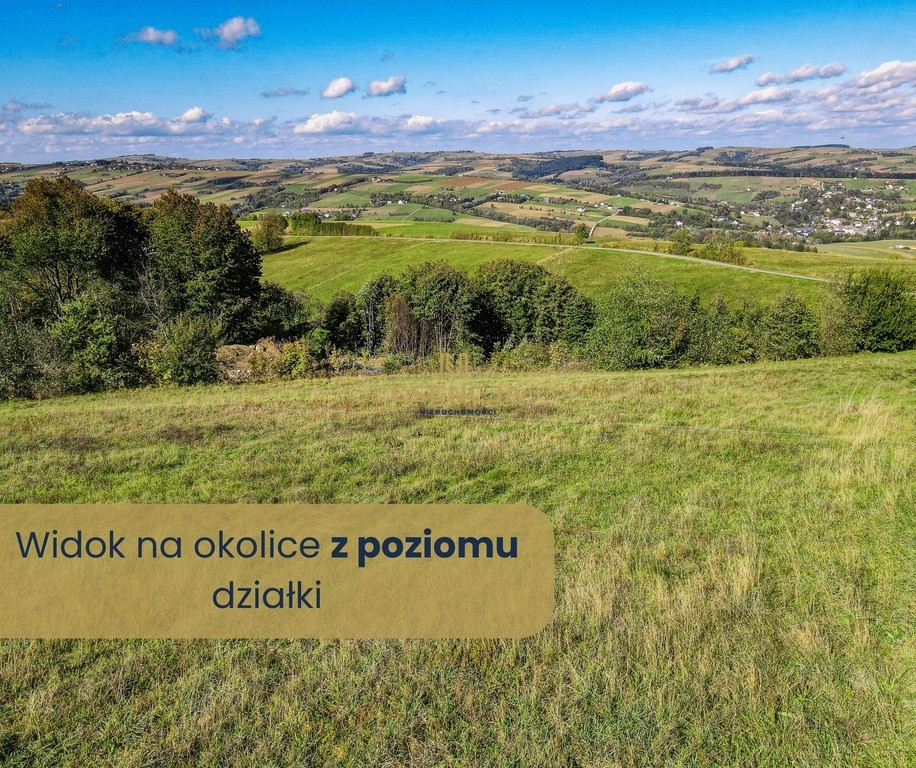 Widokowa działka budowlana w malowniczej okolicy - Widok 3