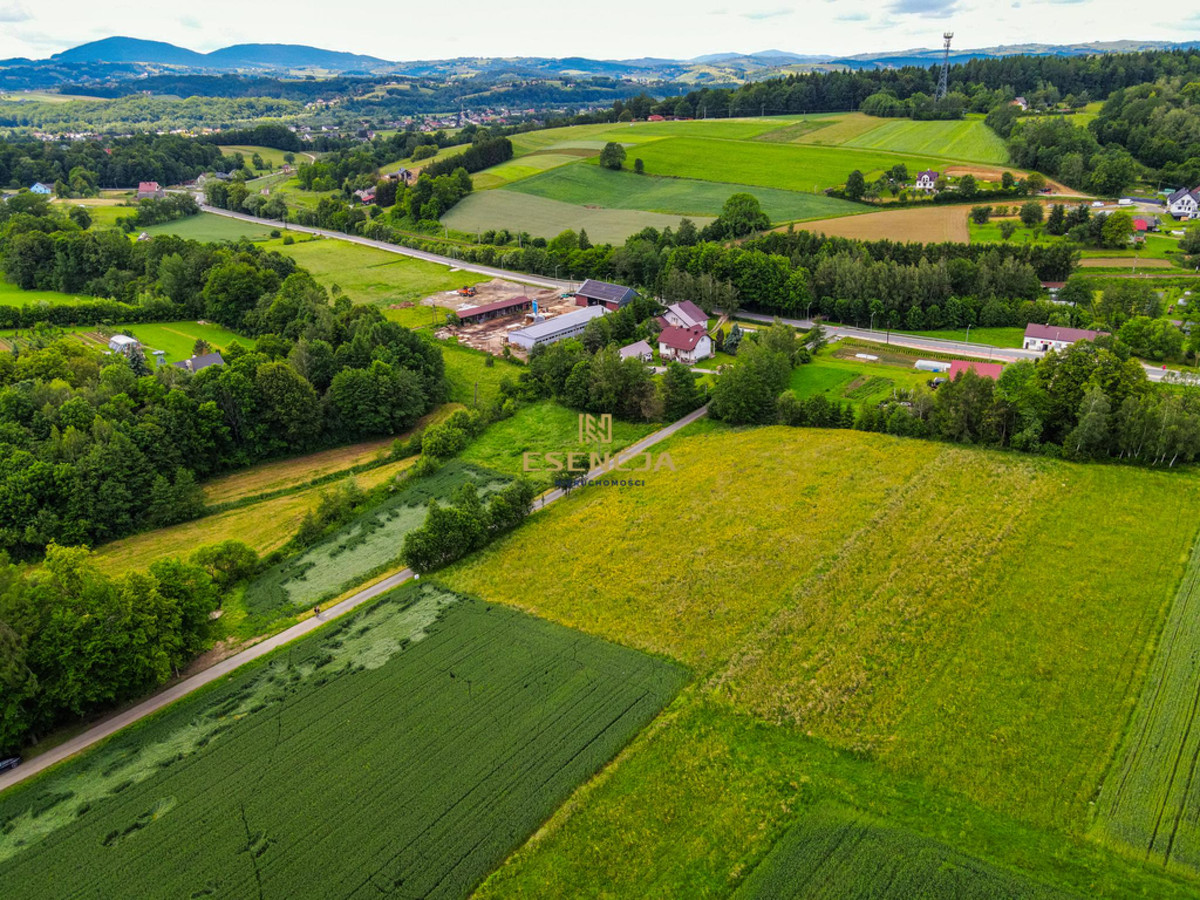 Atrakcyjne działki budowlane - Polna (gm. Grybów) - Więcej