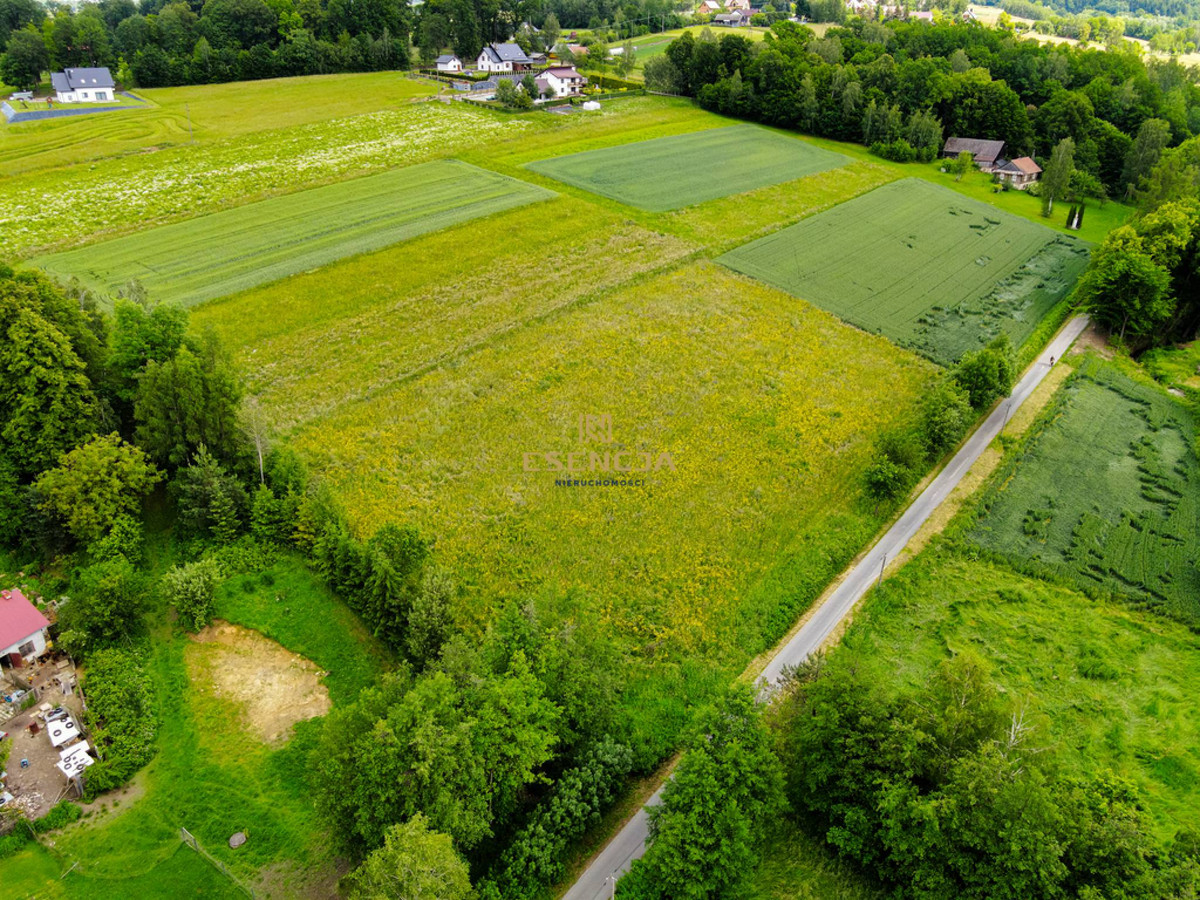 Atrakcyjne działki budowlane - Polna (gm. Grybów) - Widok 3