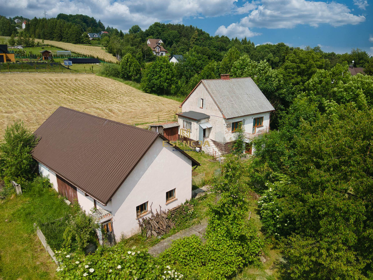 Dom – Grybów, Ptaszkowa - Widok 2