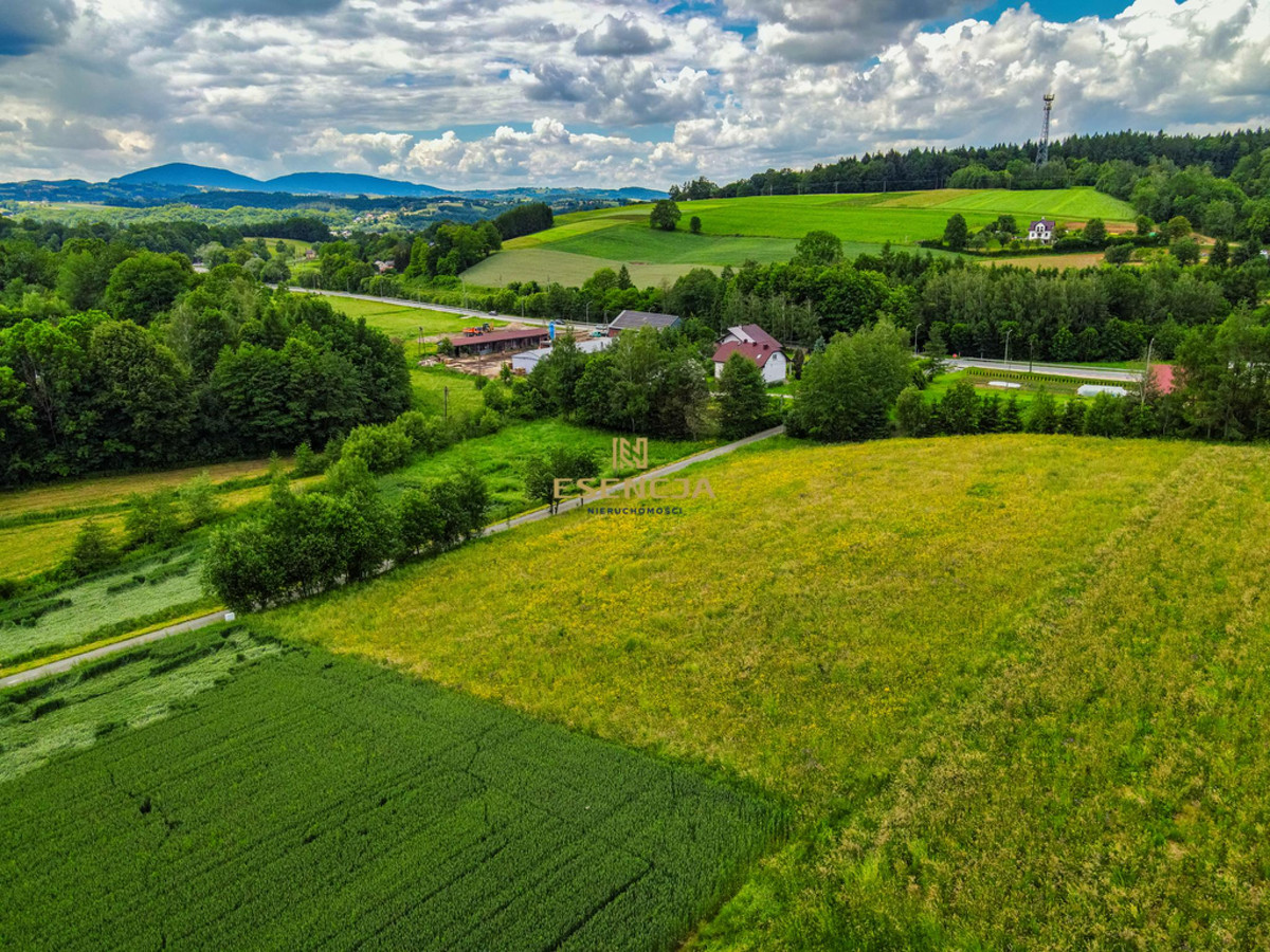 Atrakcyjne działki budowlane - Polna (gm. Grybów) - Widok 5