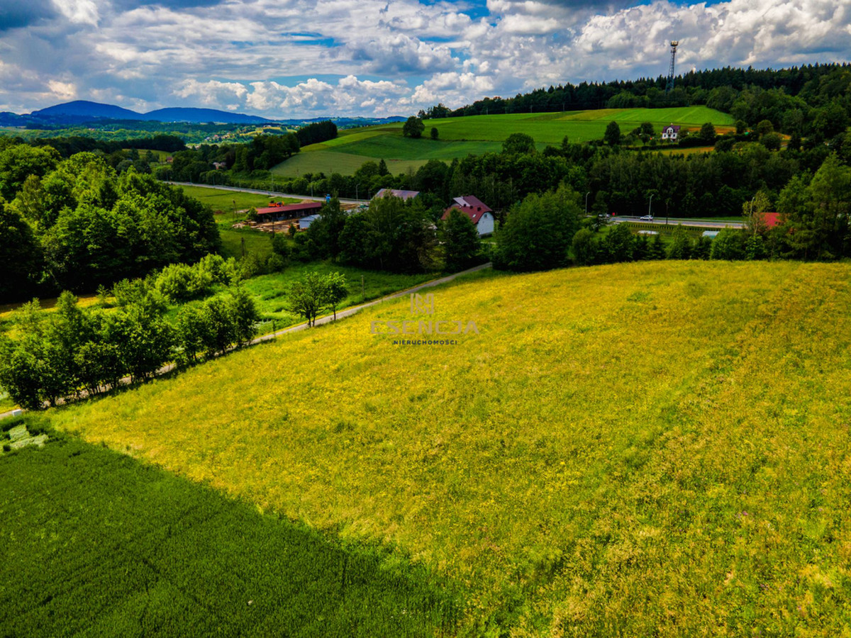 Atrakcyjne działki budowlane - Polna (gm. Grybów) - Widok 4