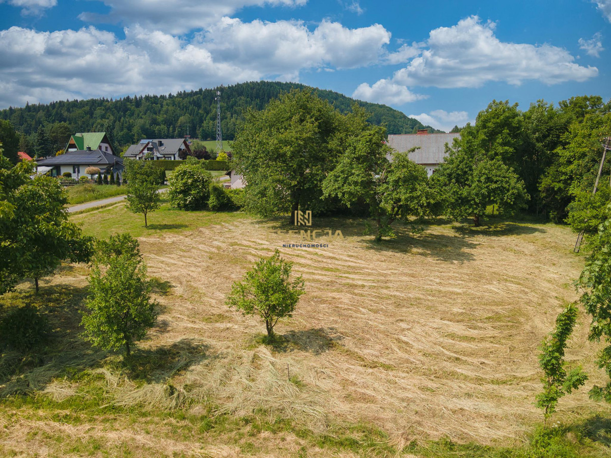 Dom – Grybów, Ptaszkowa - Widok 5