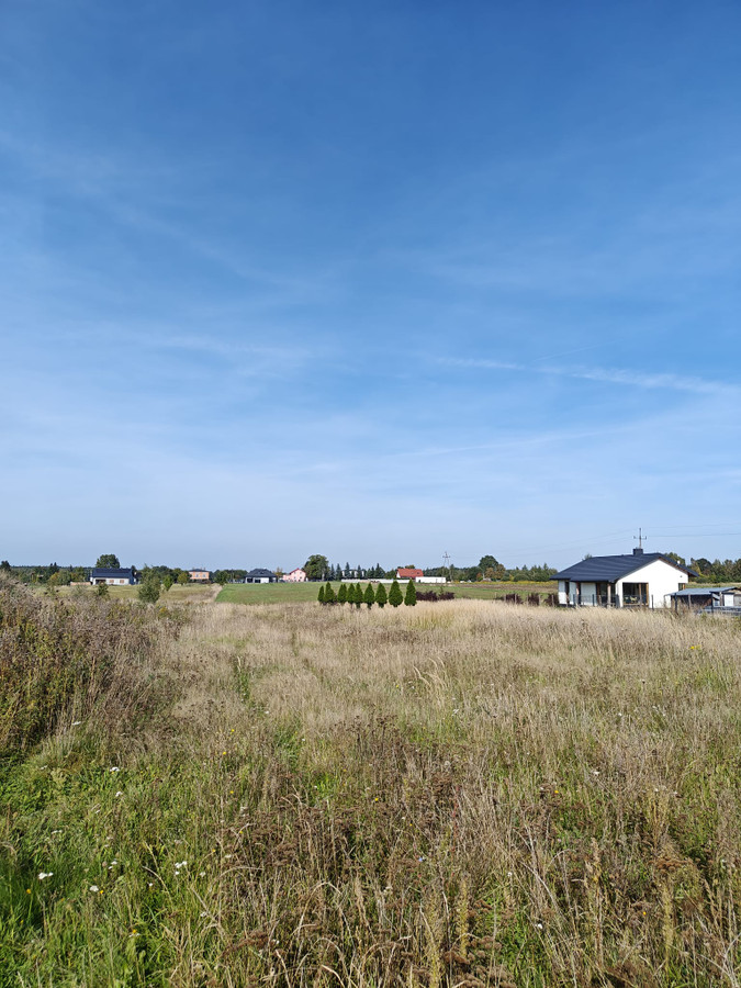 DZIAŁKA 935 M² Z WZ | CHECHŁO PIERWSZE | 239 000 ZŁ - Widok 4