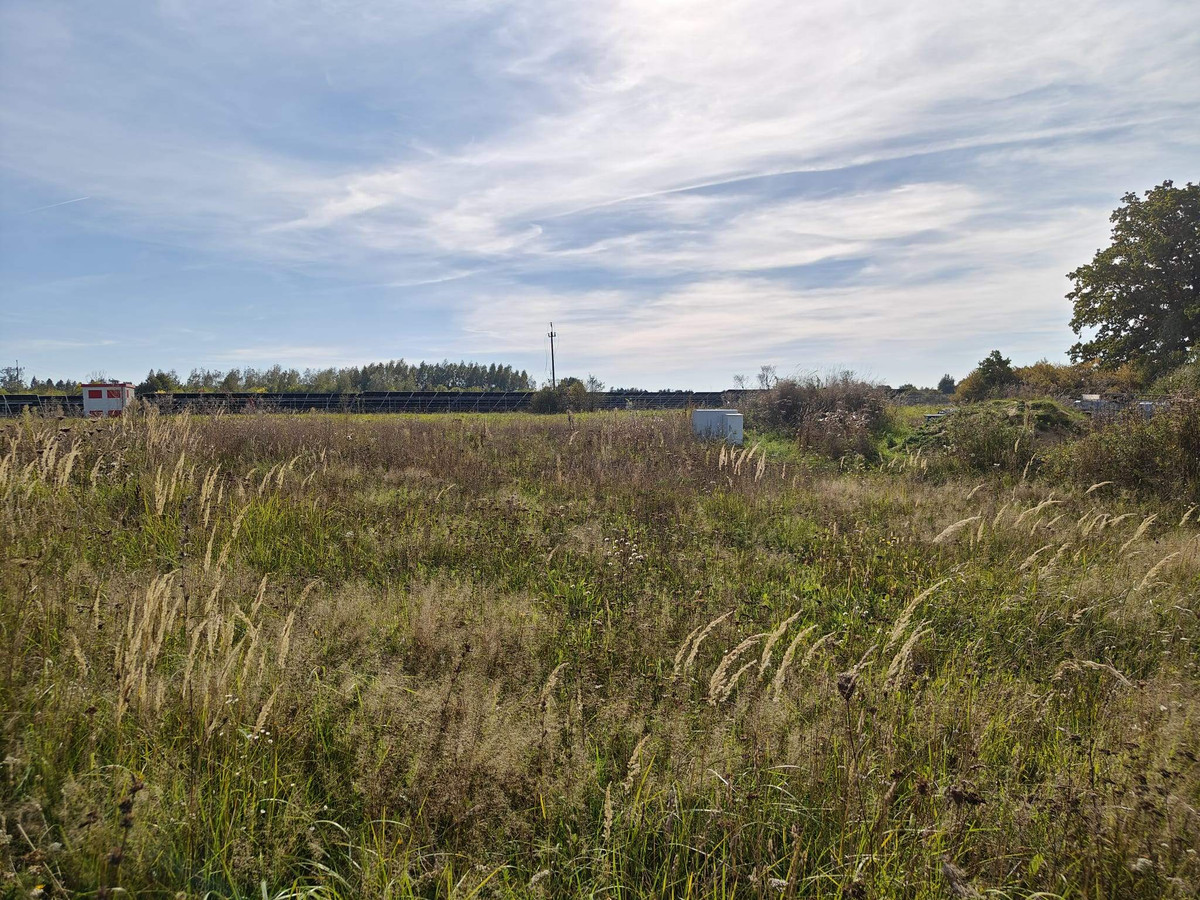 DZIAŁKA 935 M² Z WZ | CHECHŁO PIERWSZE | 239 000 ZŁ - Widok 5