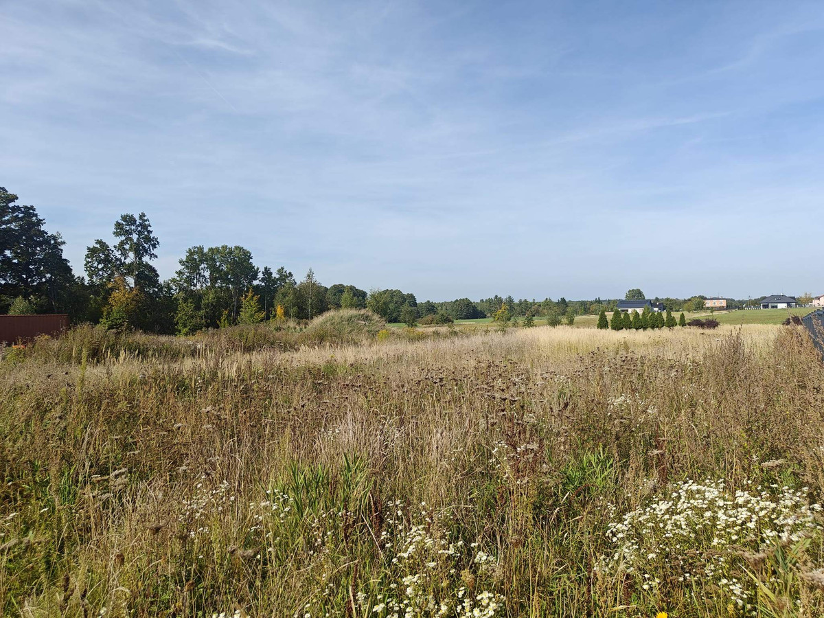 DZIAŁKA 935 M² Z WZ | CHECHŁO PIERWSZE | 239 000 ZŁ - Widok 2