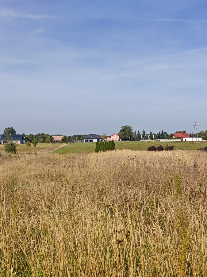 DZIAŁKA 935 M² Z WZ | CHECHŁO PIERWSZE | 239 000 ZŁ - Więcej