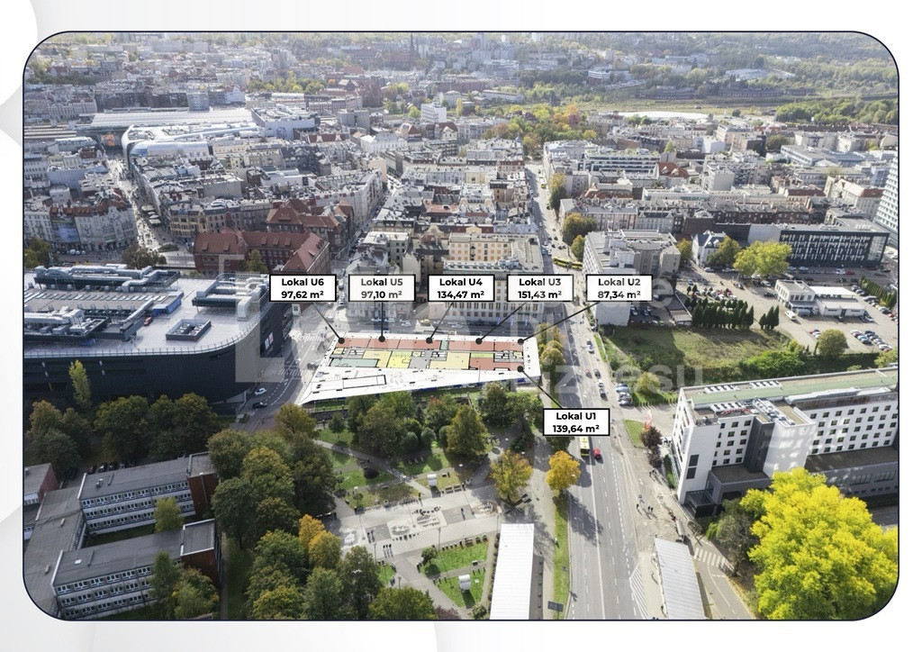 Lokal usługowy 134 m², Katowice — MIKATO, witryny - Widok 3