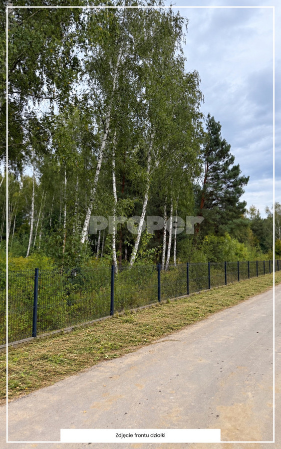 Działka 3020 m² | Łoś | MPZP MN1 - Widok 5