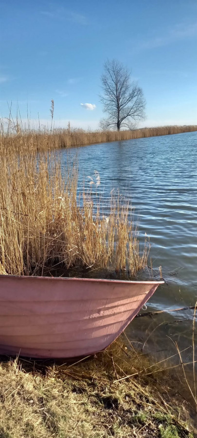 STAWY - MALIWNICZA, UROKLIWA LOKALIZACJA - Widok 5