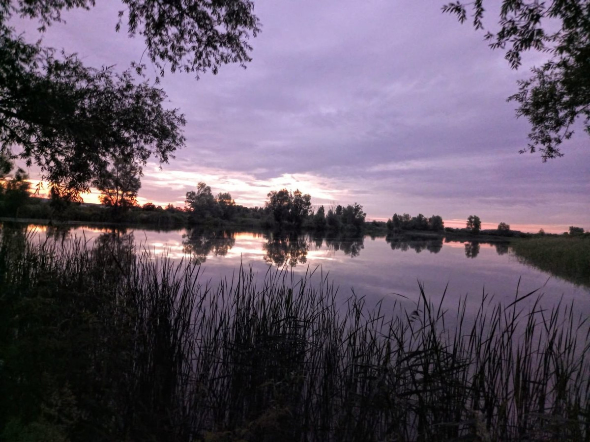 STAWY - MALIWNICZA, UROKLIWA LOKALIZACJA - Widok 2