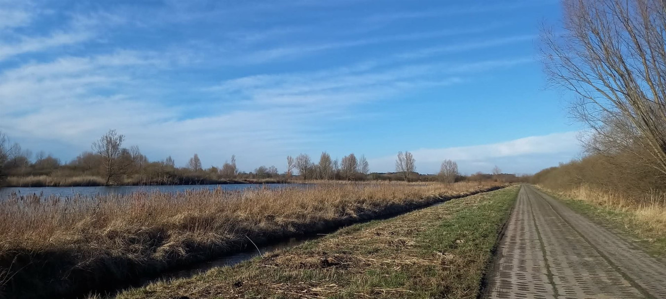 STAWY - MALIWNICZA, UROKLIWA LOKALIZACJA - Widok 4