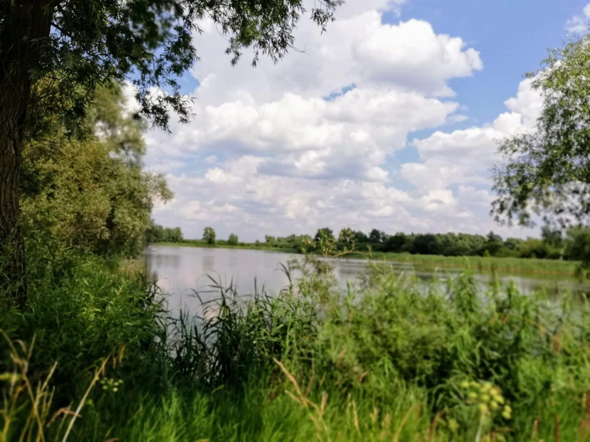 STAWY - MALIWNICZA, UROKLIWA LOKALIZACJA - Widok 3