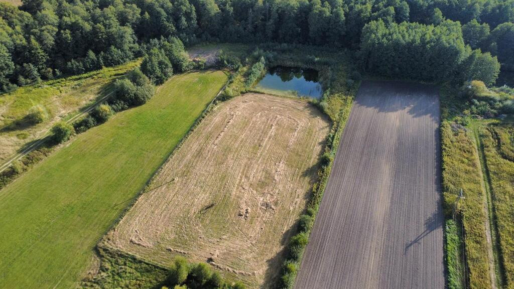 DZIAŁKI BUDOWLANE Z STAWEM W STRZELCACH, GM. DOBROSZYCE - Widok 2
