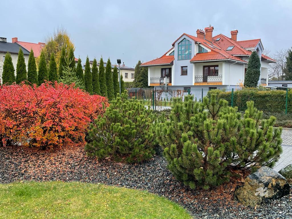 Dom – Pszczyna - Widok 3