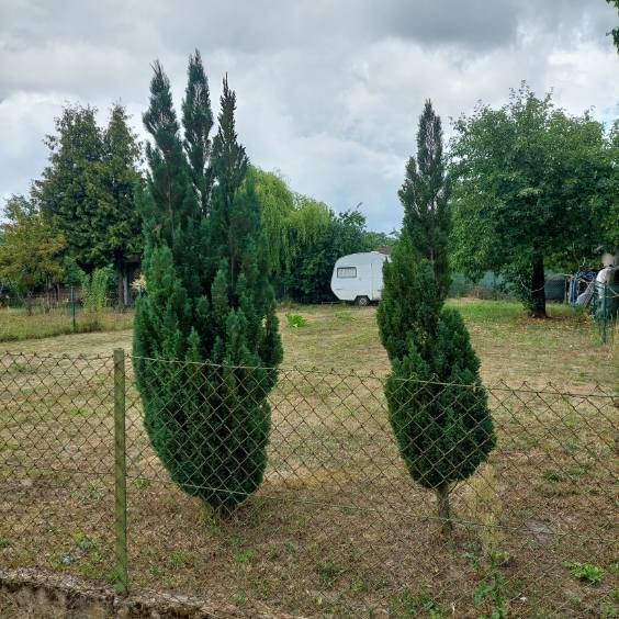 DZIAŁKA ROD W GORZOWIE - Widok 3