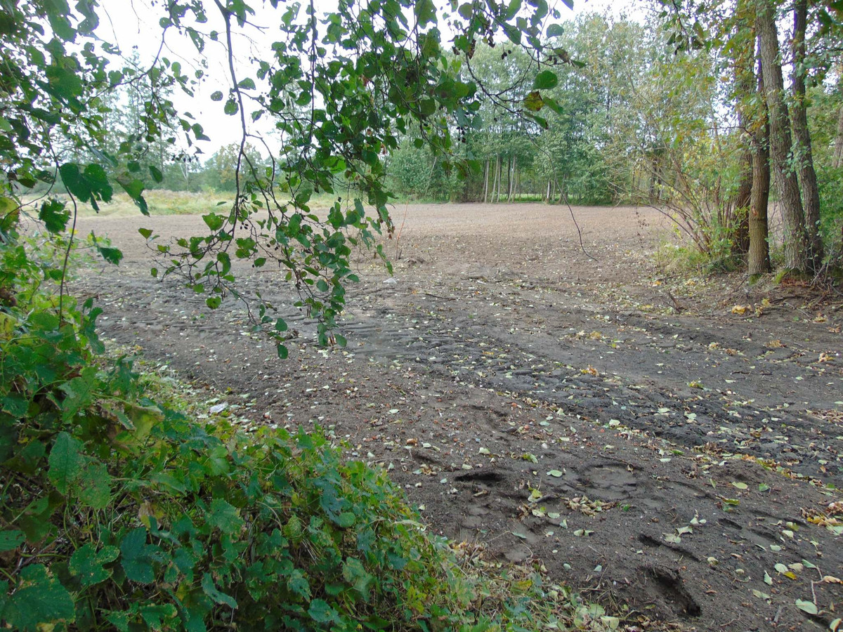 gratka-2 - Widok 2