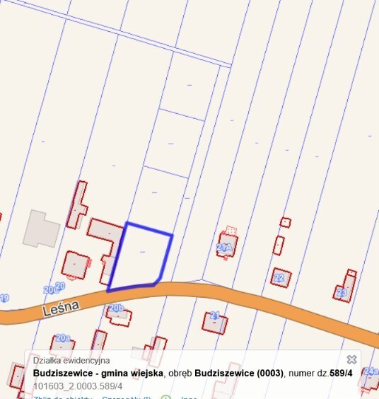 działki z WZ - Budziszewice - Widok 5