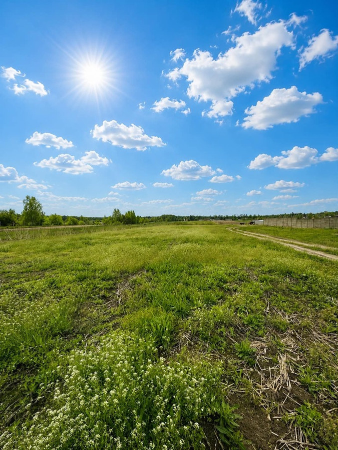 działki z WZ - Budziszewice - Widok 3